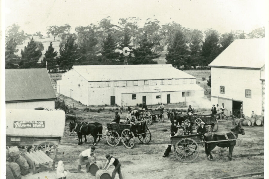 Yalumba Winery Fruit Cannery Bond Distillery, c1890