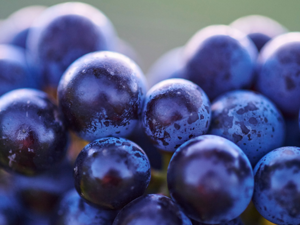 Cullen Cabernet Sauvignon 