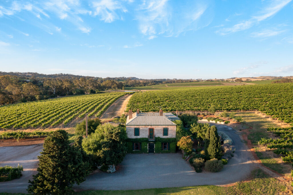 Florita vineyard with house