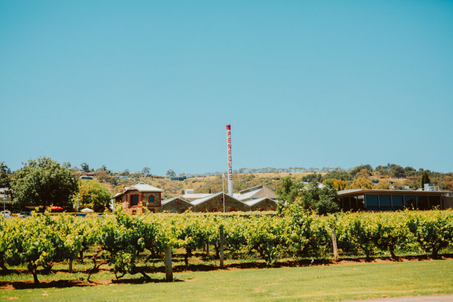 Penfolds