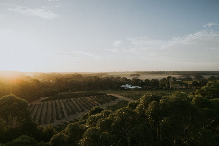 2025 Vasse Felix Release