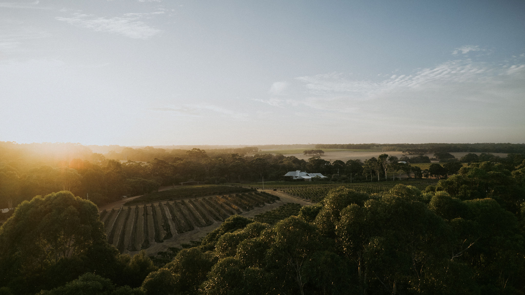 2025 Vasse Felix Release