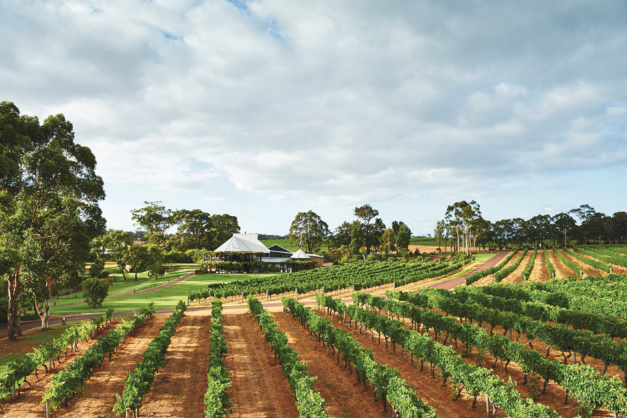 2026 Vasse Felix Chardonnay Release