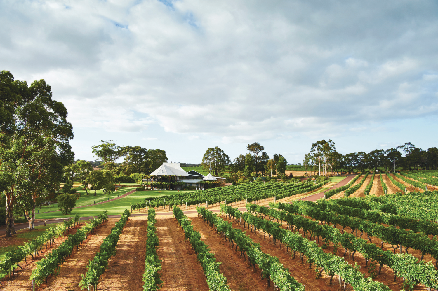 2026 Vasse Felix Chardonnay Release
