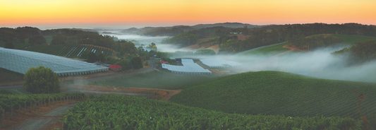 Hill of Grace – Celebrating 60 Years