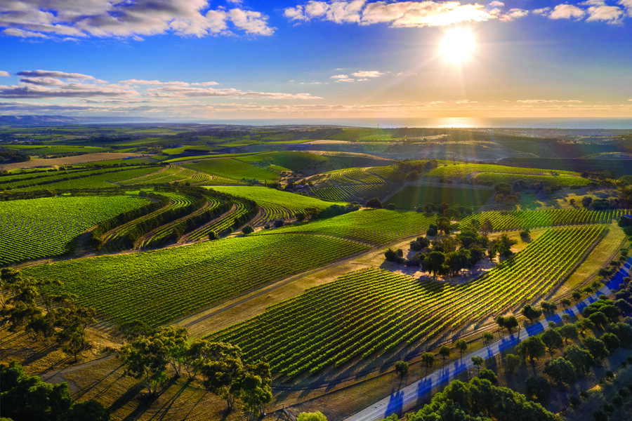 McLaren Vale