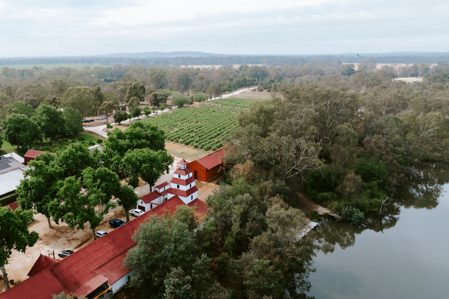 Tahbilk and the Purbrick Family: A 100-year Story of Winemaking