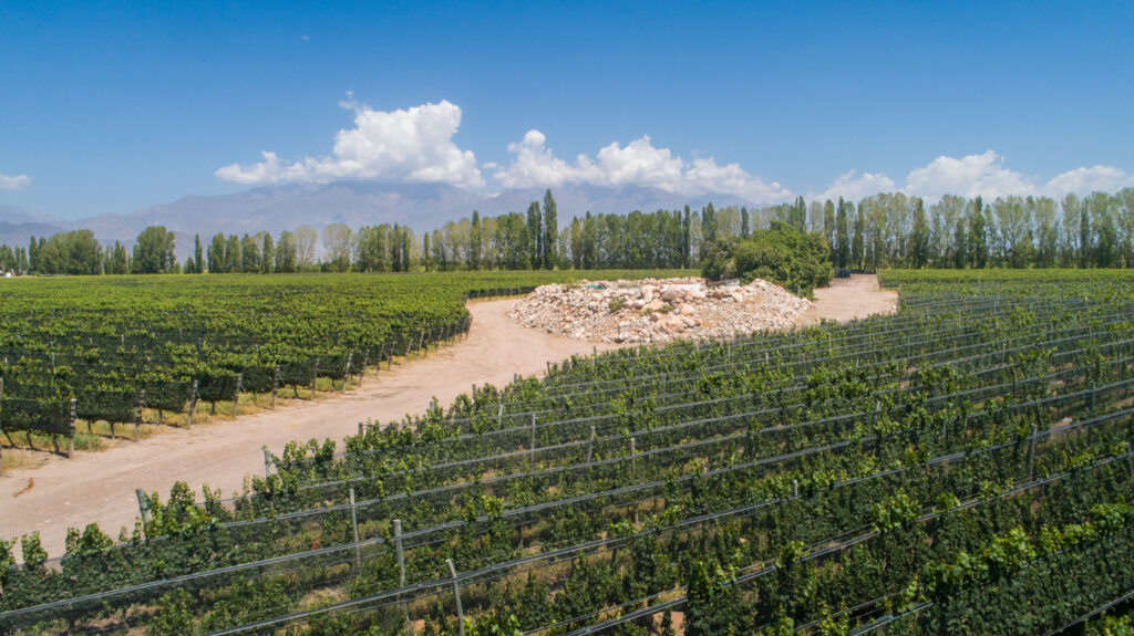 Finca Canal Uco 