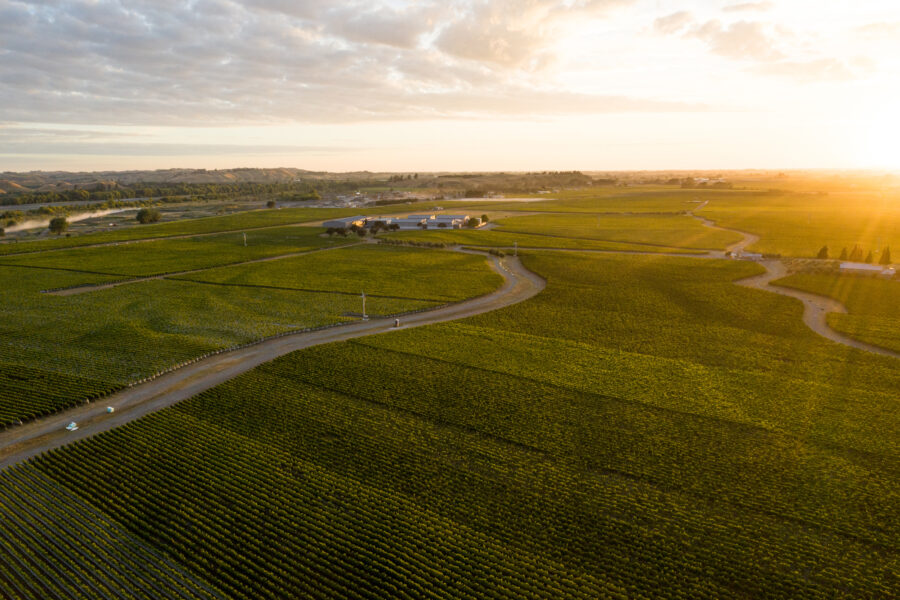 Hawkes Bay