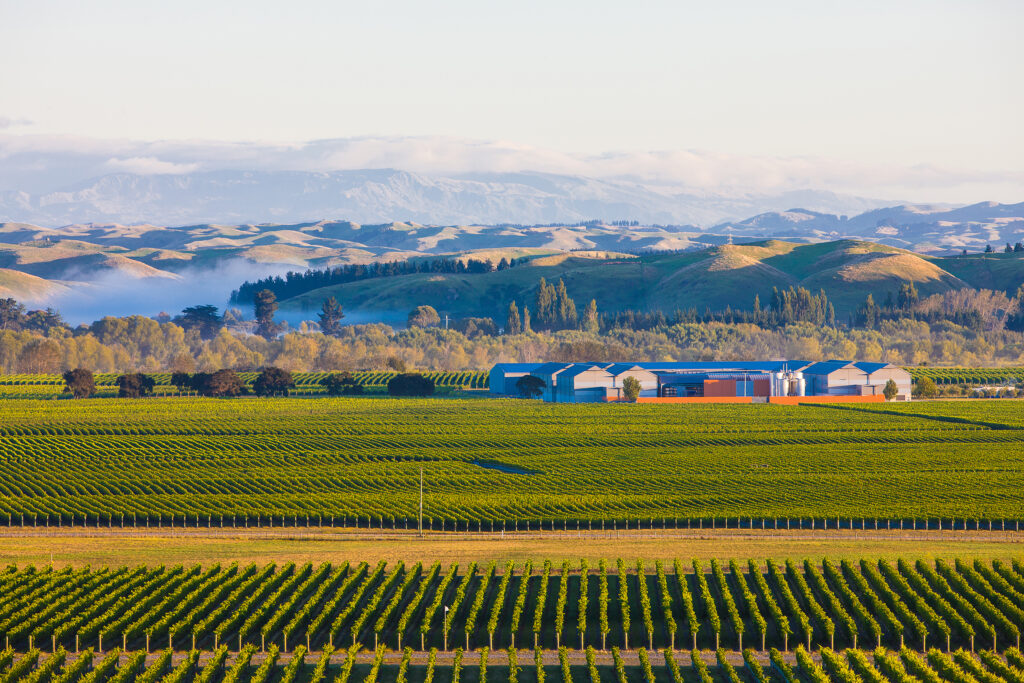 Gimblett Gravels Winery
