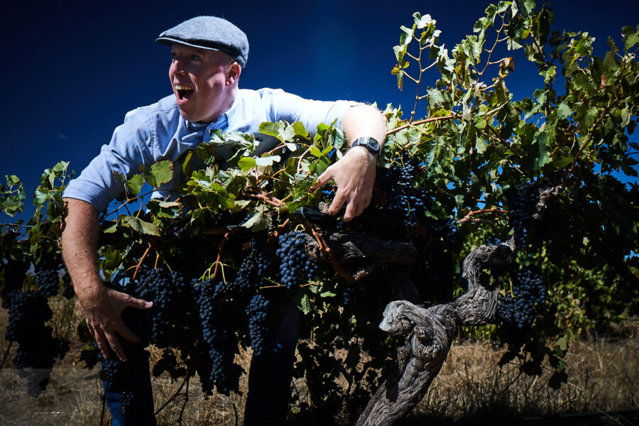Head Wines Grenache
