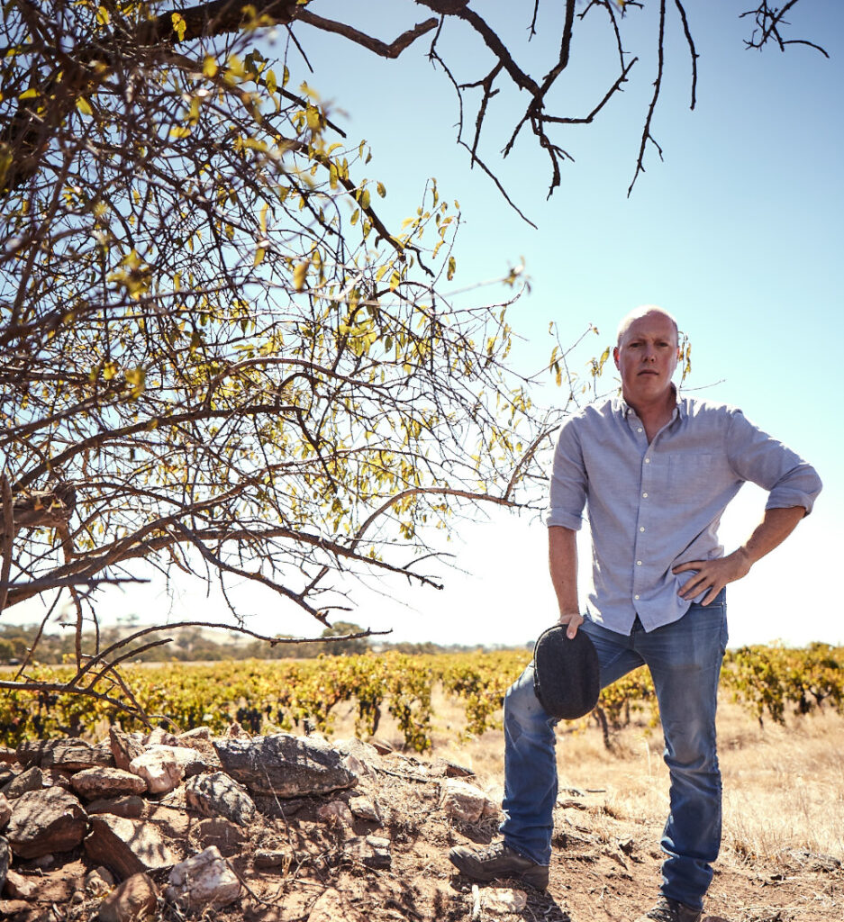 Alex Head in vineyard