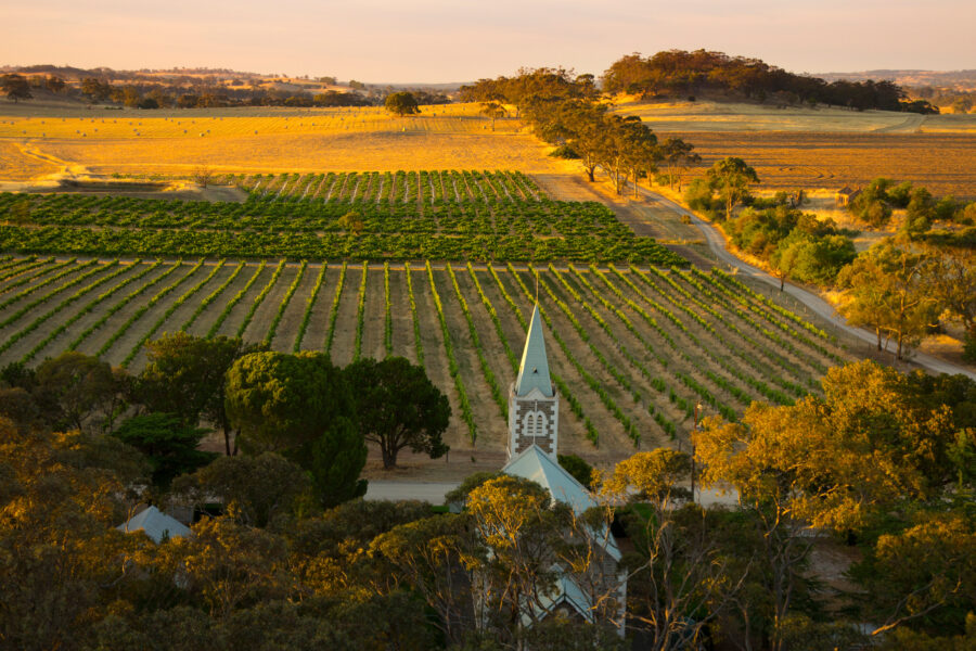 2024 Henschke Single Vineyard Release