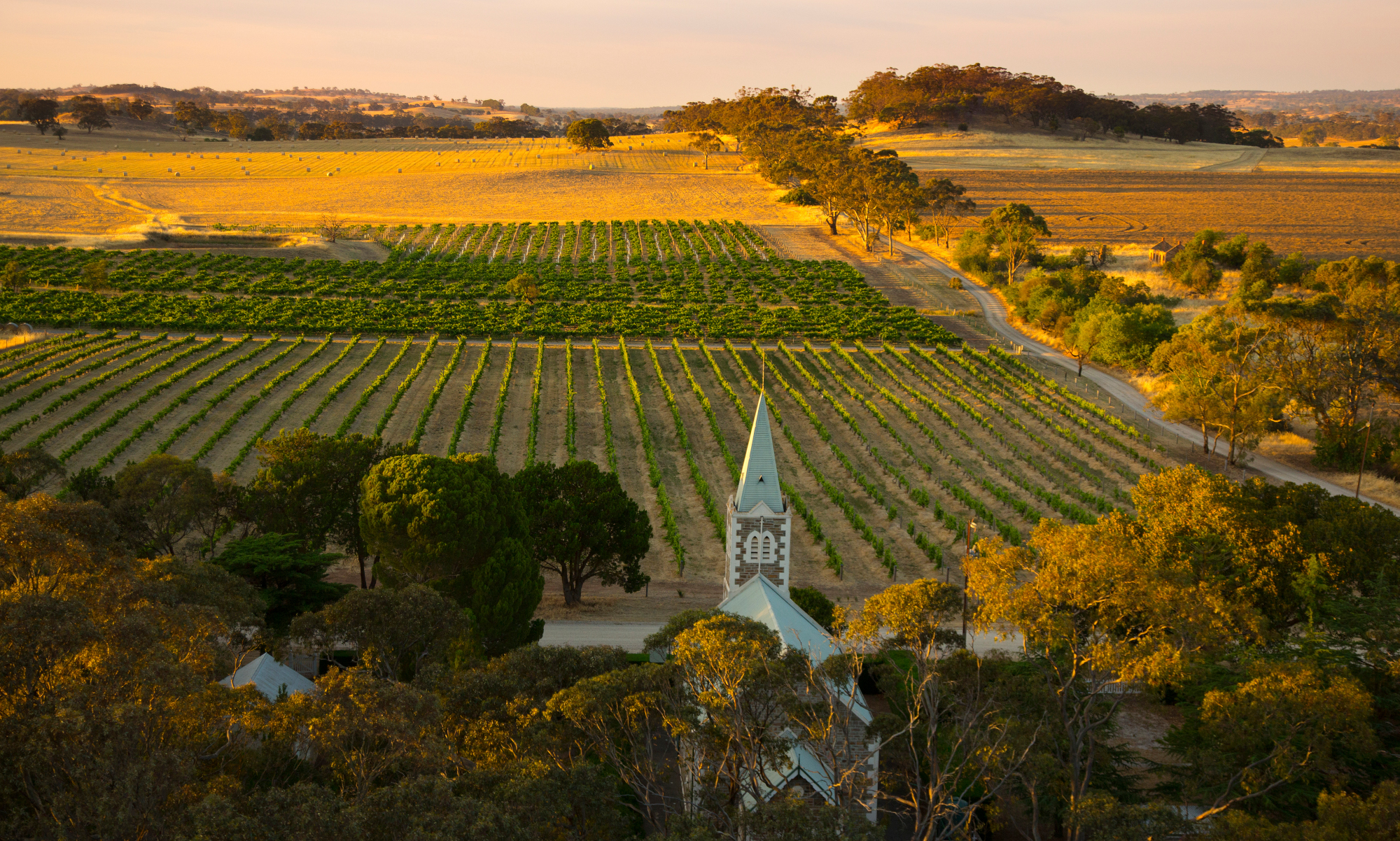 2024 Henschke Single Vineyard Release