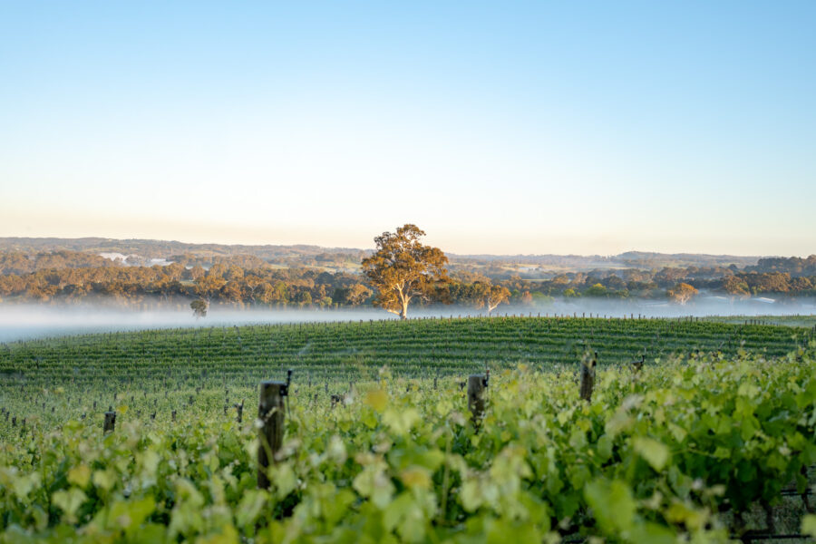 Sidewood