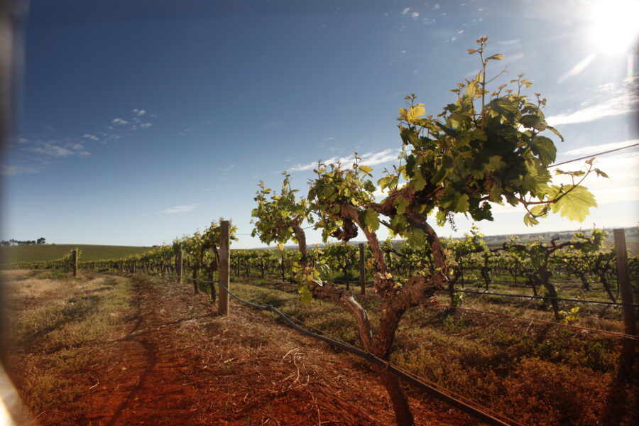Clare Valley