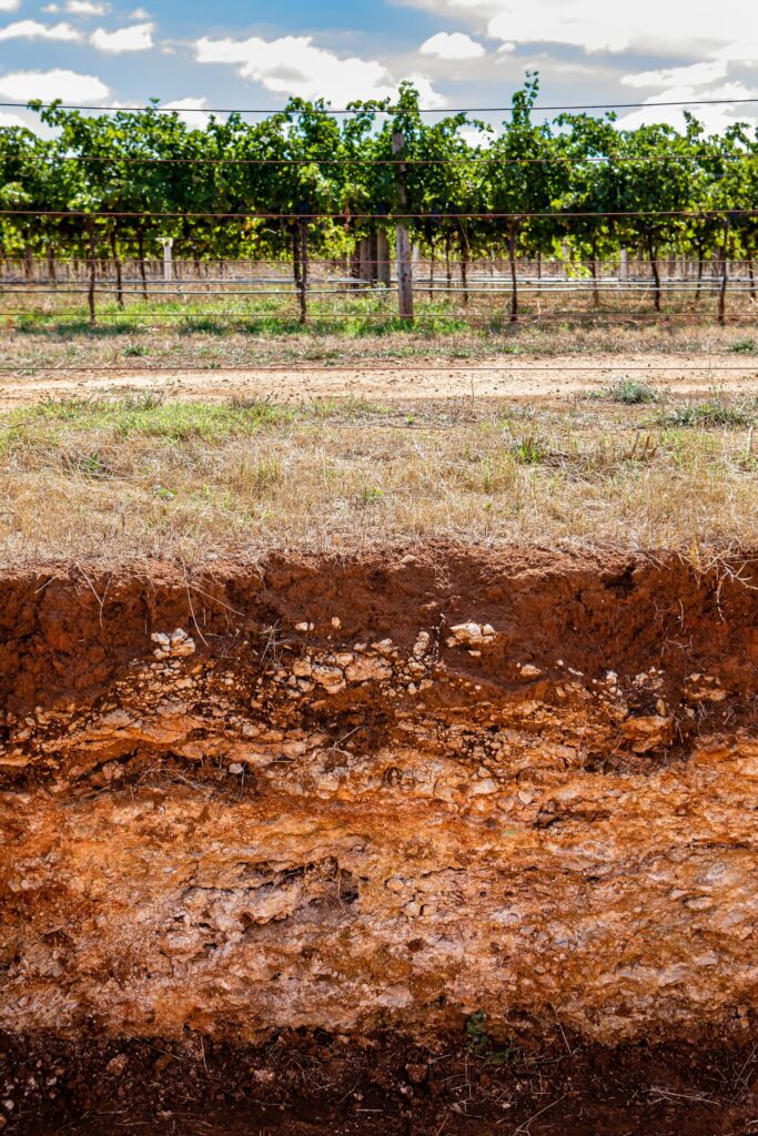 Terra Rossa soil, Coonawarra