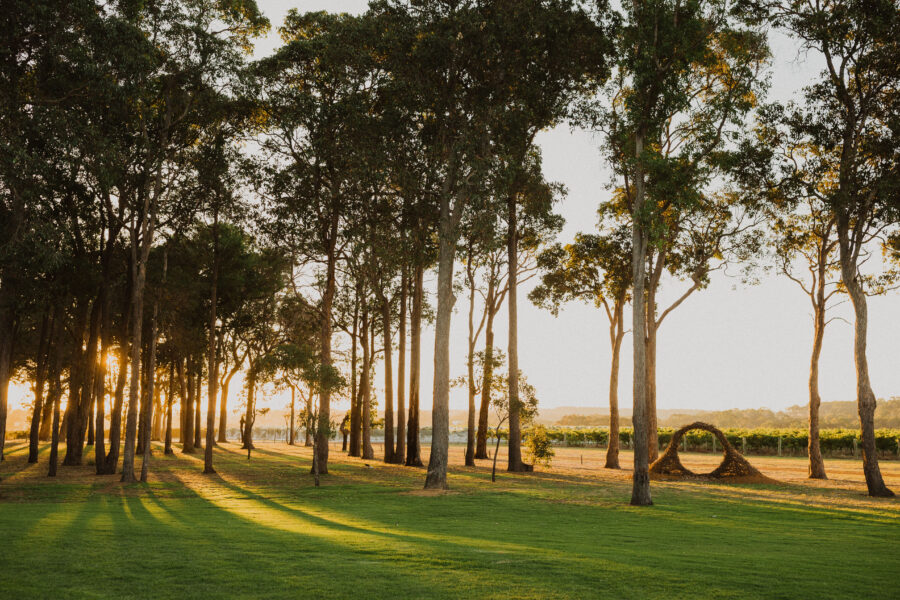 Howard Park Tasting – November 2025