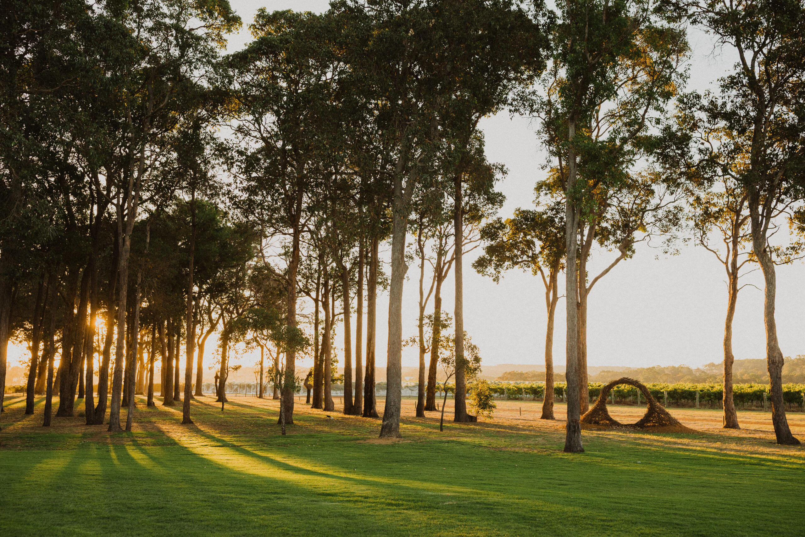 Howard Park Tasting – November 2025