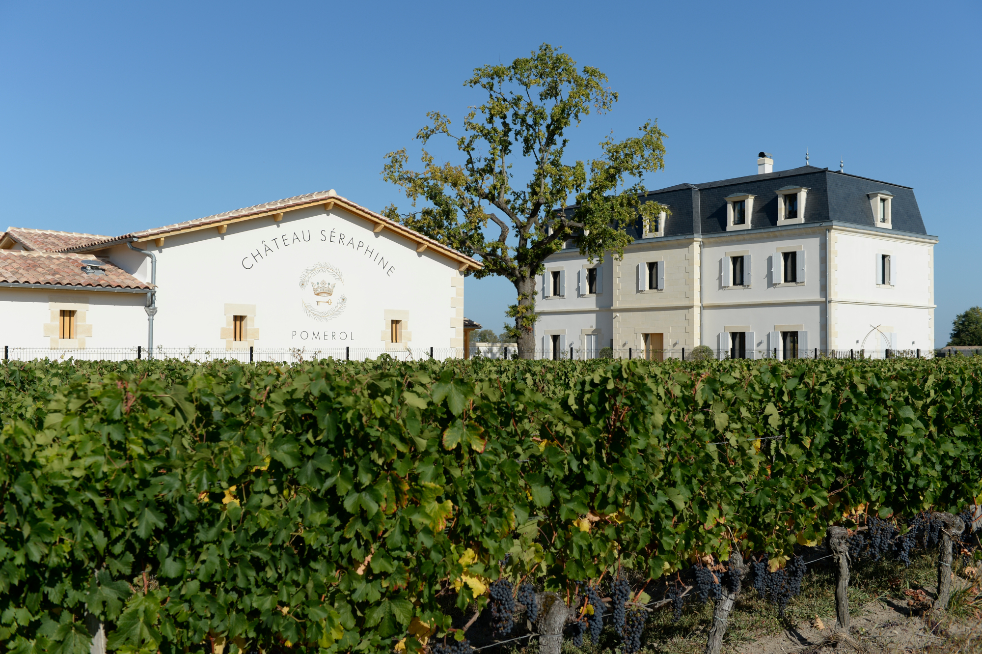 2023 Vintage – Château Séraphine and Clos Cantenac